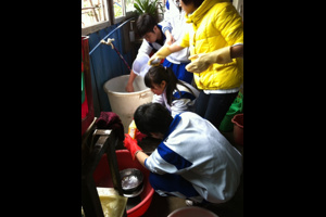 2013广东华侨中学志愿活动——流浪猫狗爱心温室