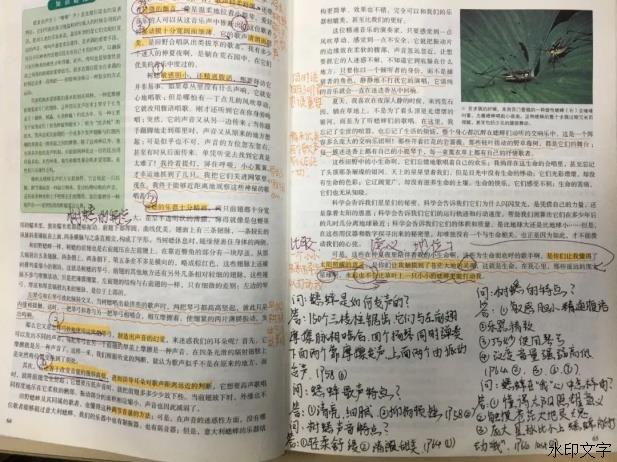 417b54d27d1142a6a6b95428ca1f37dd.jpeg