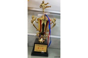 蝉联13连冠！ | 我校跆拳道队参加越秀区中小学跆拳道锦标赛比赛再夺团体总分第一名