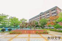 喜报 | 市科技创新大赛获奖13项！省青少年科学调查体验活动获奖10项！