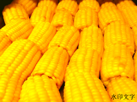 202606011646473460.png