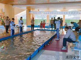 “初出茅庐” 勇创佳绩！